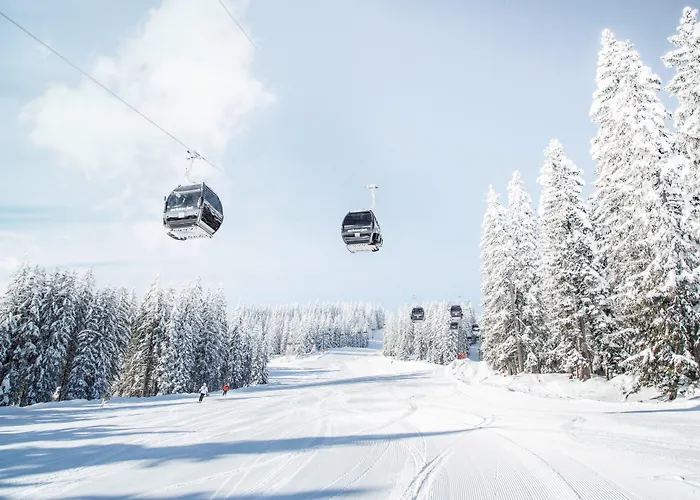 蒙特纳洛阿尔卑斯美食酒店 酒店